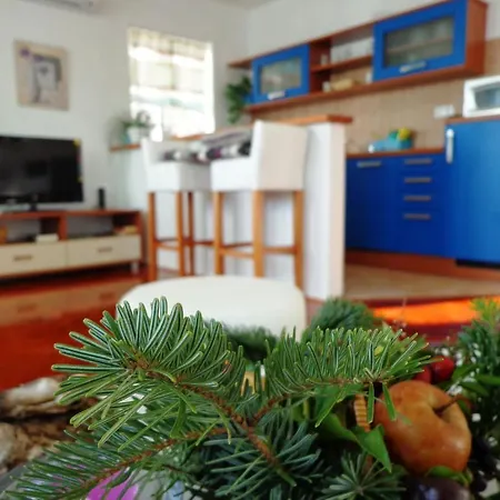 Apartment Mistral